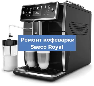 Чистка кофемашины Saeco Royal от кофейных масел в Красноярске